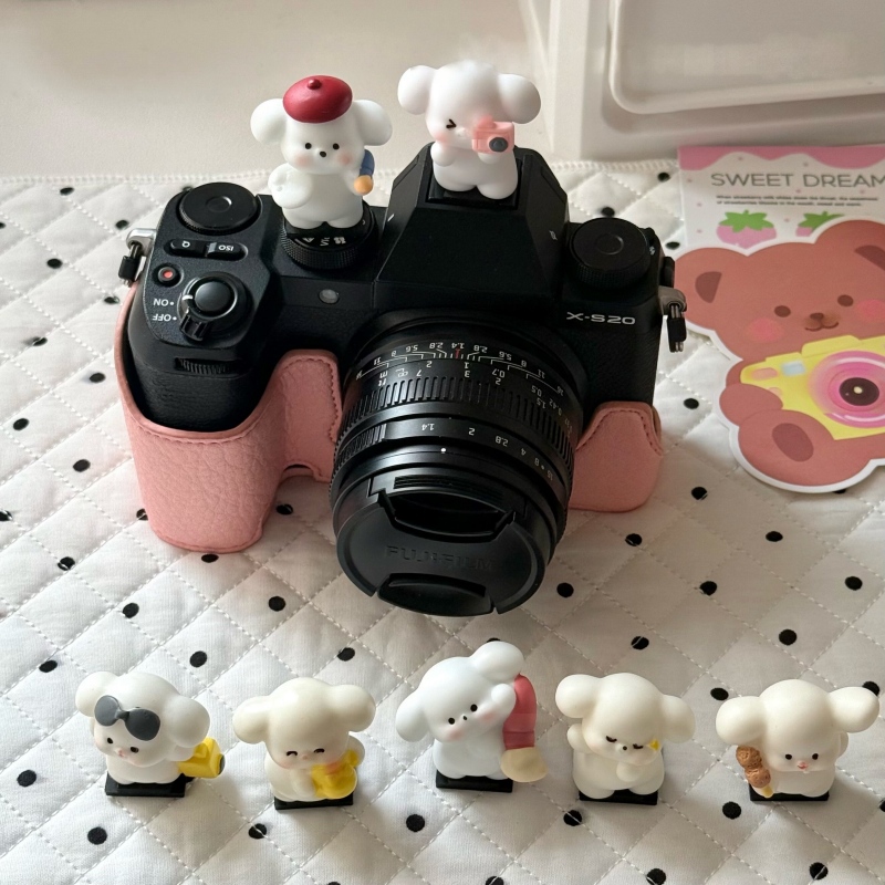 Sony Camera Zv-E10 - Leica Q2 Q3 Fuji X100V X-T5